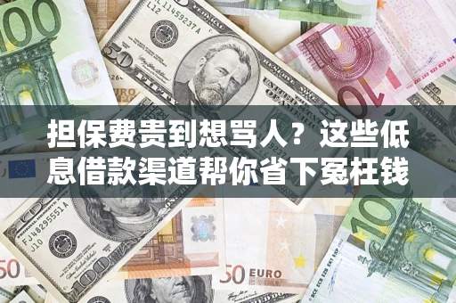 济南担保费贵到想骂人？这些低息借款渠道帮你省下冤枉钱