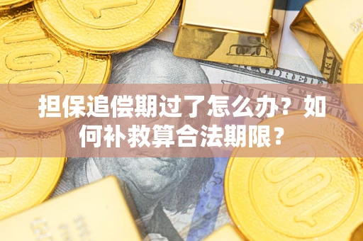 济南担保追偿期过了怎么办？如何补救算合法期限？