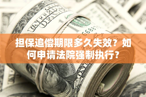 济南担保追偿期限多久失效？如何申请法院强制执行？