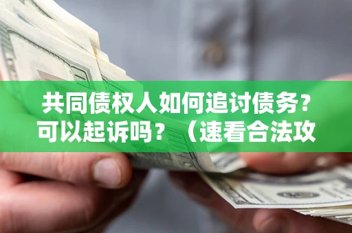 济南共同债权人如何追讨债务？可以起诉吗？（速看合法攻略）