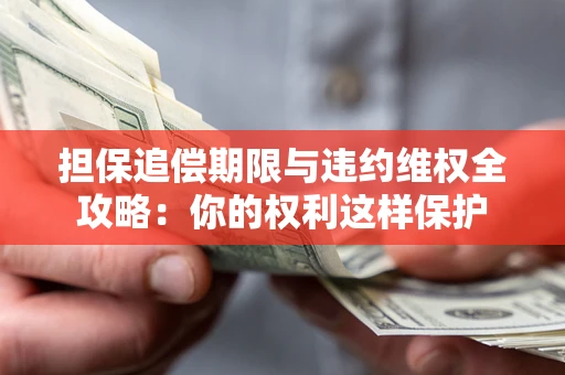 济南担保追偿期限与违约维权全攻略：你的权利这样保护